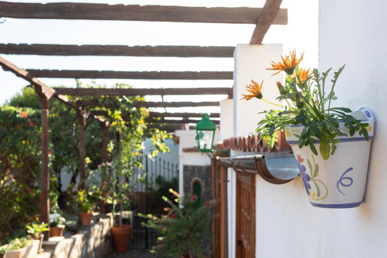 Casa Del Cura Viejo Guest House Arafo Eksteriør bilde